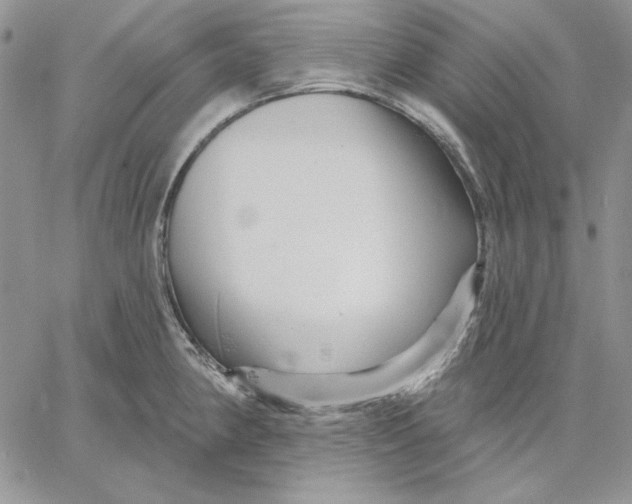 X0000060581190200511241333