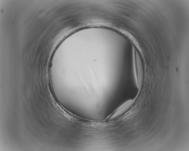 X0000060581191200511241333