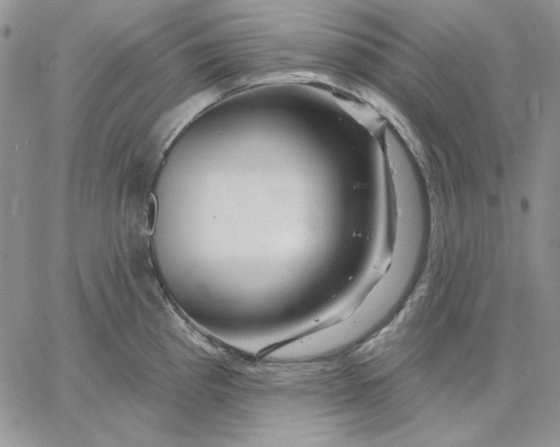 X0000060581193200511241333