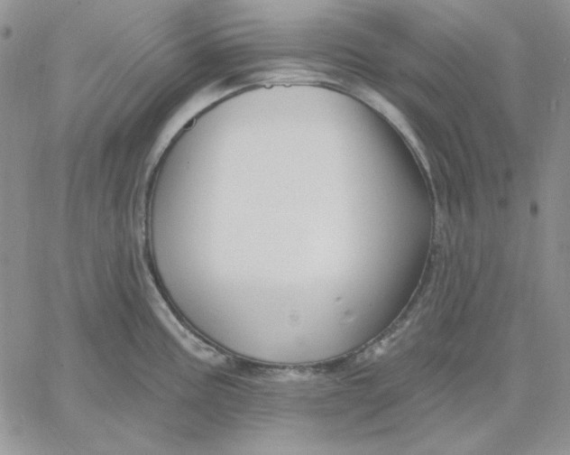 X0000060581195200511241333