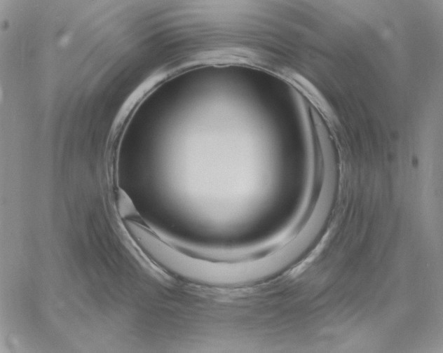 X0000060581196200511241333