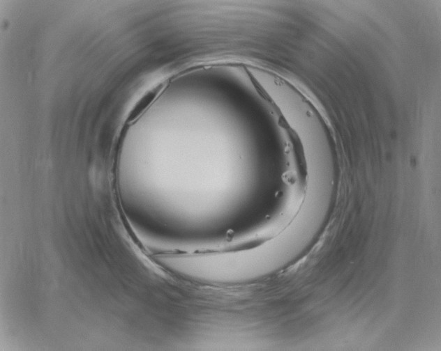 X0000060581197200511241333