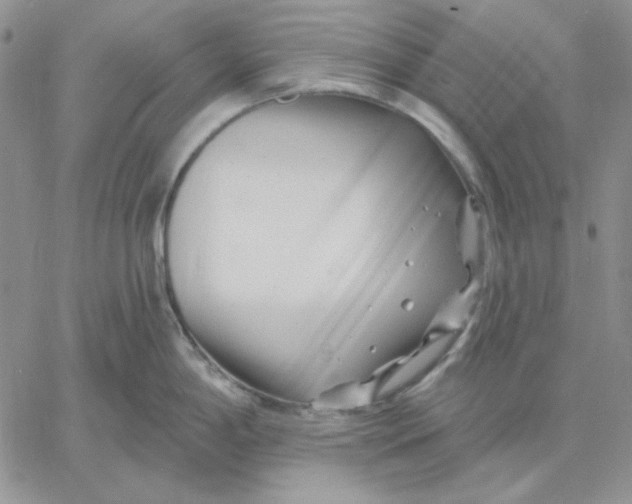 X0000060581198200511241333