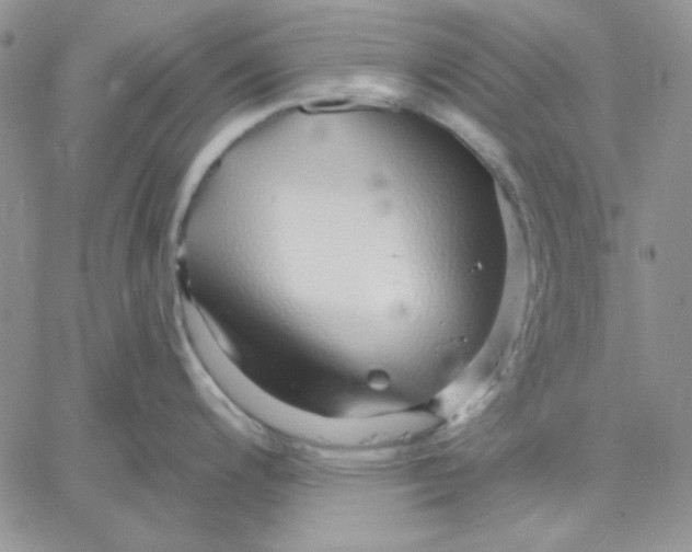 X0000060581200200511241333