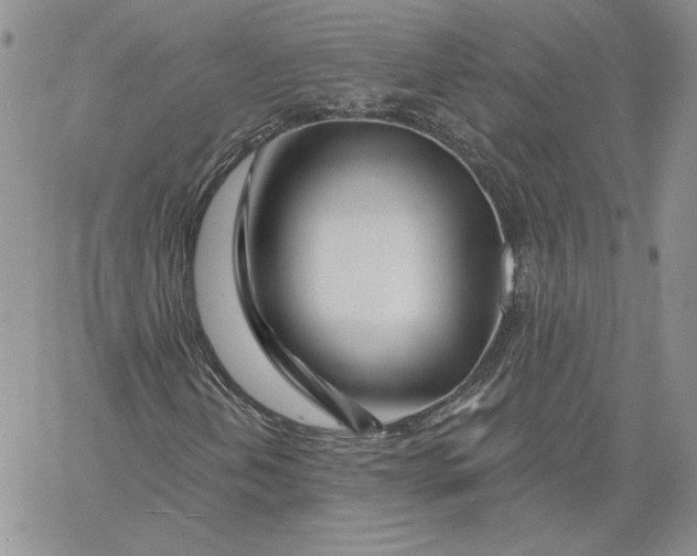 X0000060581202200511241332