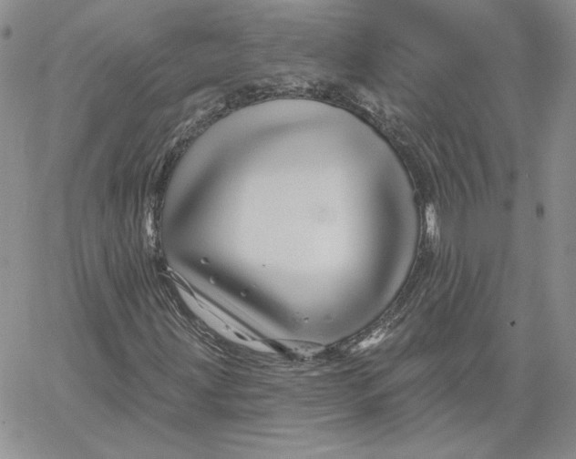 X0000060581203200511241332