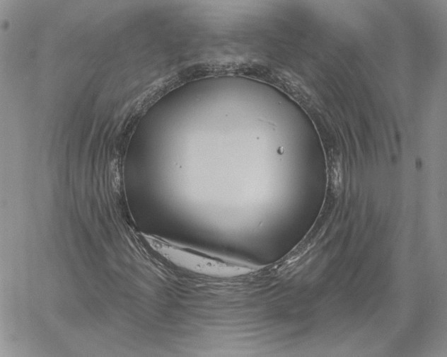 X0000060581204200511241332