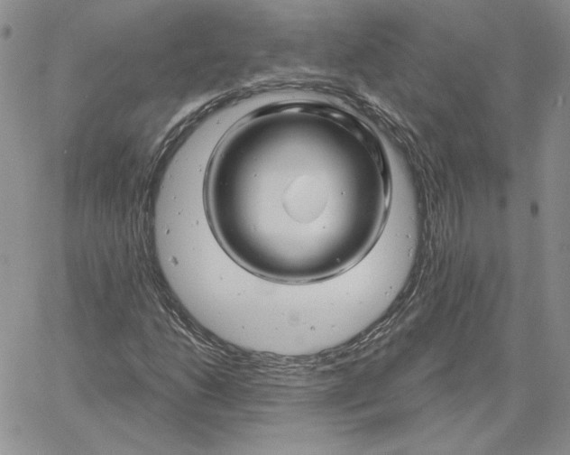 X0000060581206200511241332