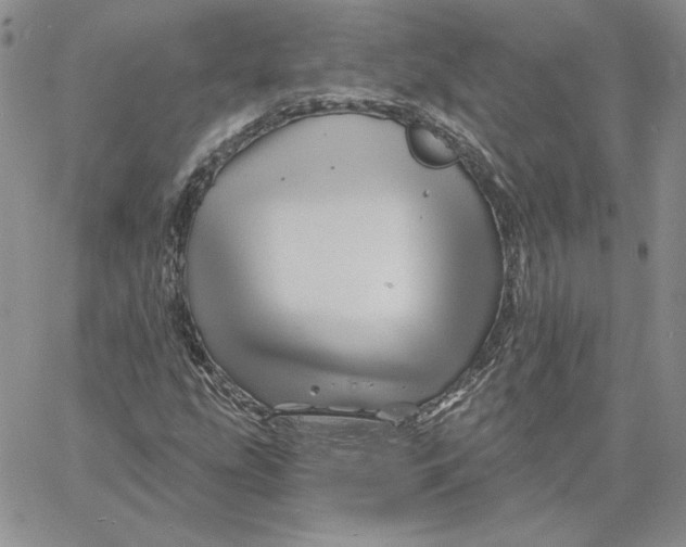 X0000060581207200511241332