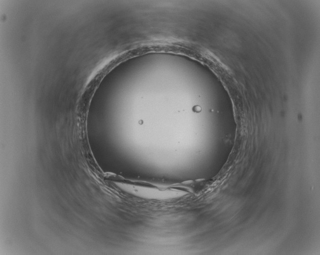 X0000060581208200511241333