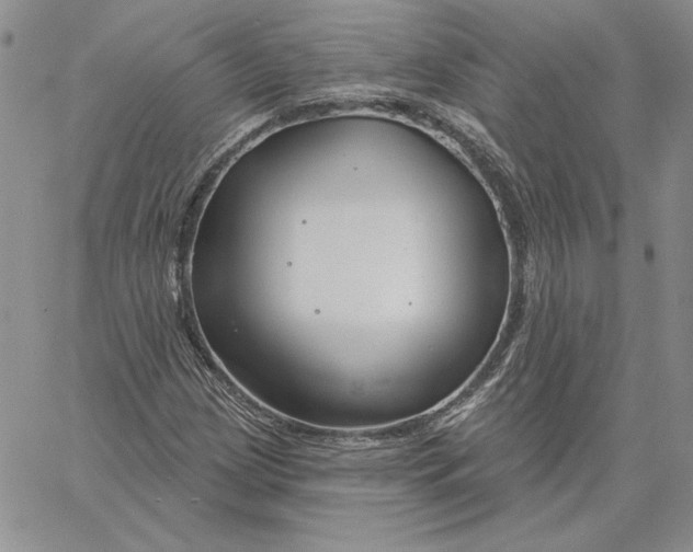 X0000060581209200511241333