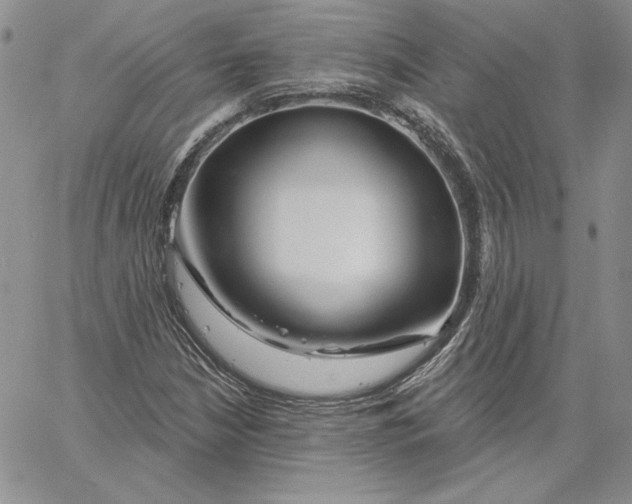 X0000060581210200511241333