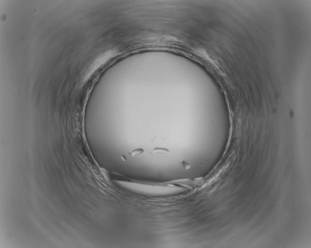 X0000060581211200511241333