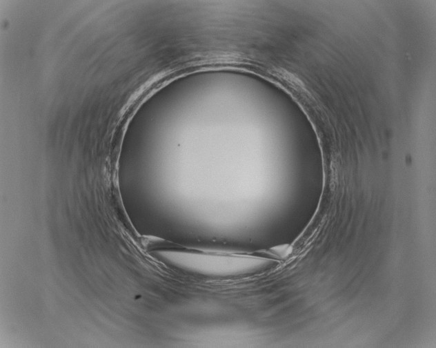 X0000060581212200511241333