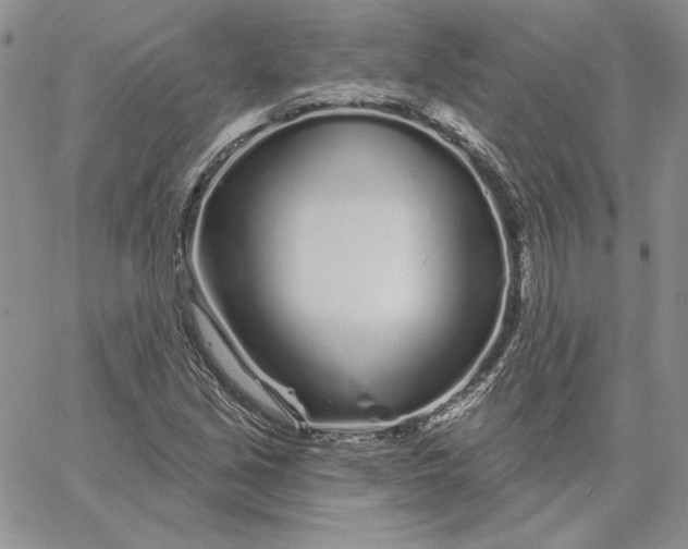 X0000060581213200511241333