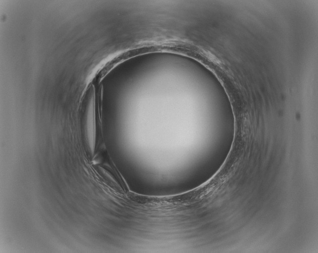 X0000060581214200511241333