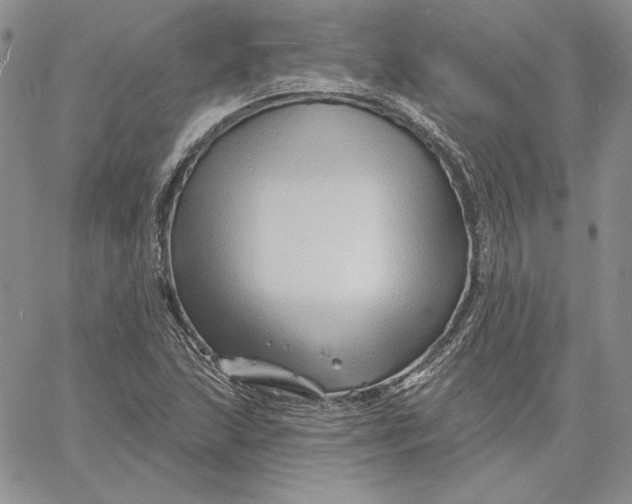 X0000060581215200511241333