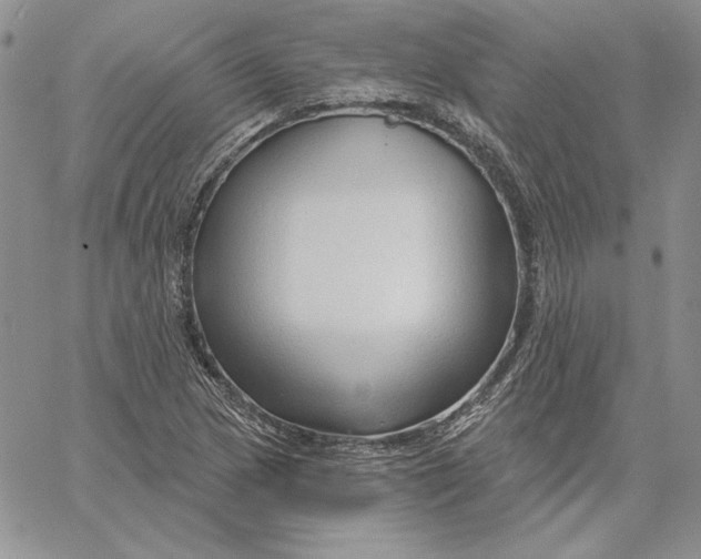 X0000060581217200511241333