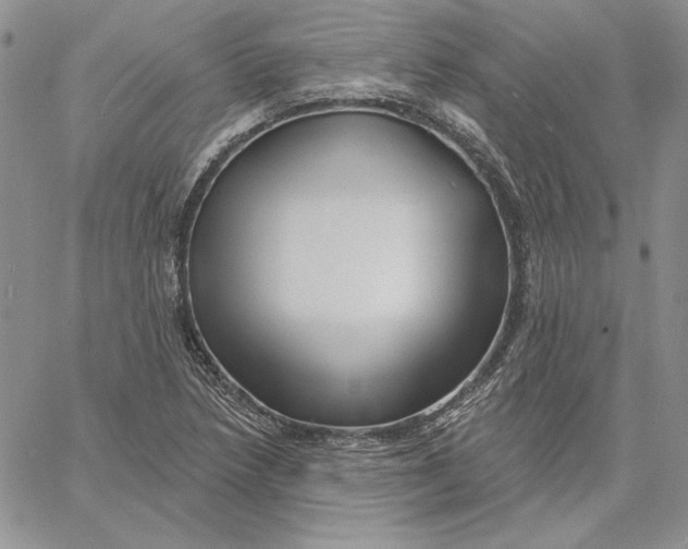 X0000060581218200511241333