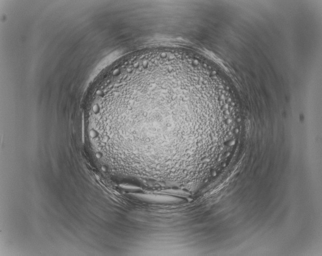 X0000060581219200511241333