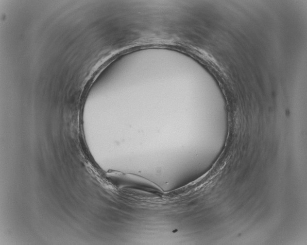 X0000060581220200511241333