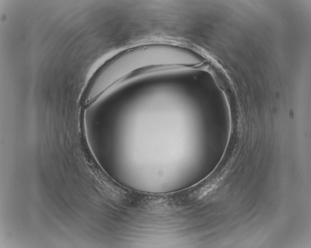 X0000060581222200511241333