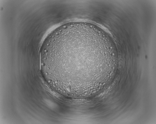 X0000060581223200511241333