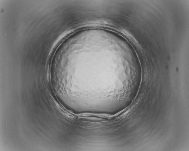 X0000060581224200511241333