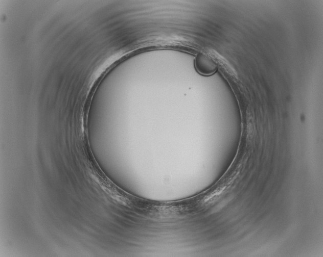 X0000060581226200511241333