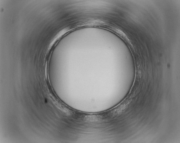 X0000060581227200511241333