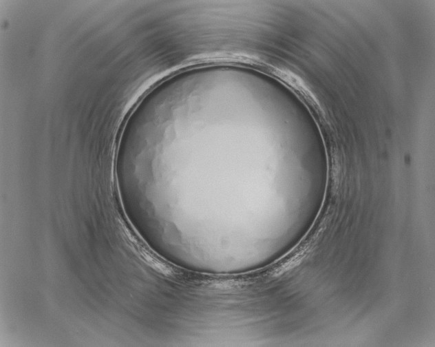 X0000060581228200511241333