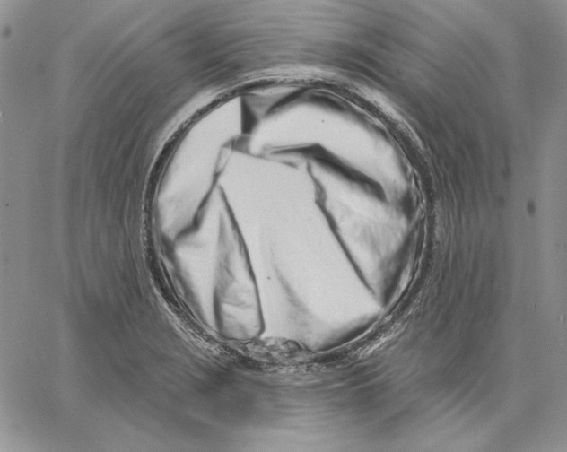 X0000060581229200511241333