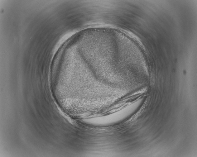 X0000060581231200511241333