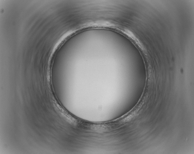 X0000060581232200511241333