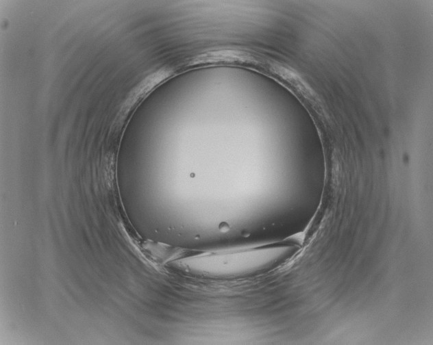 X0000060581233200511241333