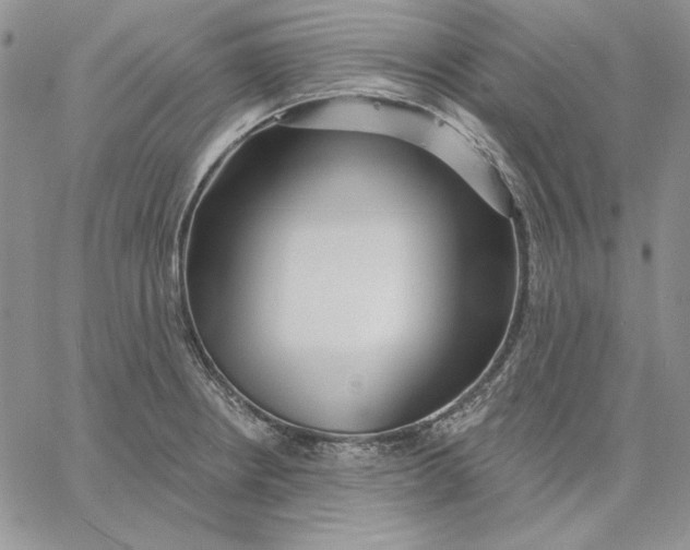 X0000060581234200511241333