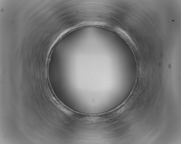 X0000060581236200511241333