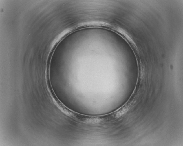 X0000060581237200511241333