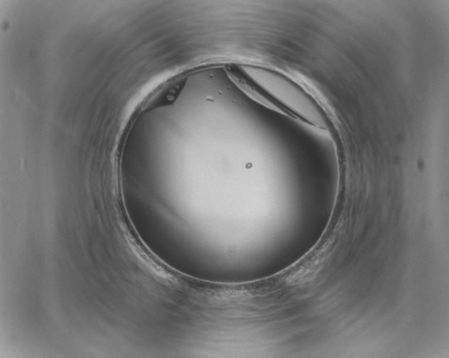 X0000060581238200511241333