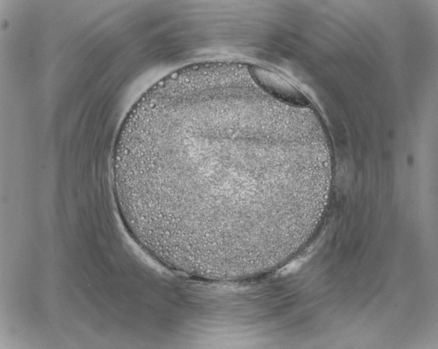 X0000060581239200511241333