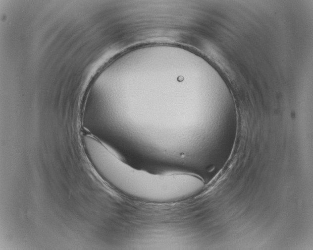 X0000060581240200511241333