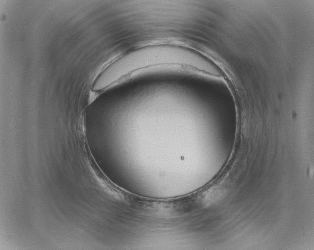 X0000060581241200511241333