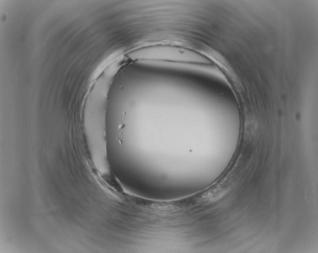 X0000060581242200511241333