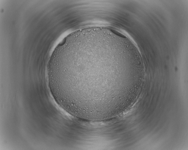 X0000060581243200511241333