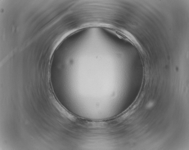 X0000060581244200511241333