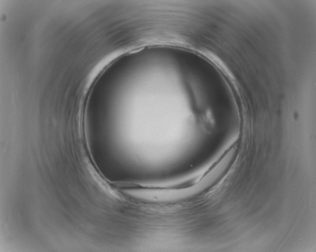 X0000060581246200511241333