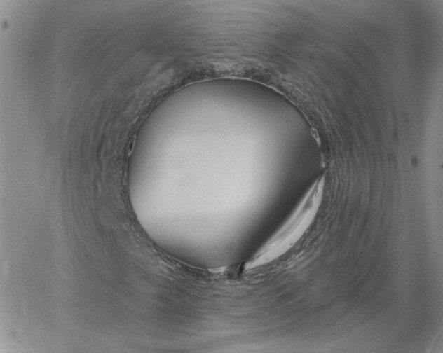 X0000060581249200511241332