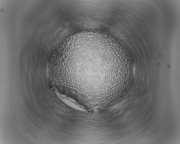 X0000060581251200511241332