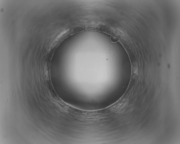 X0000060581252200511241332