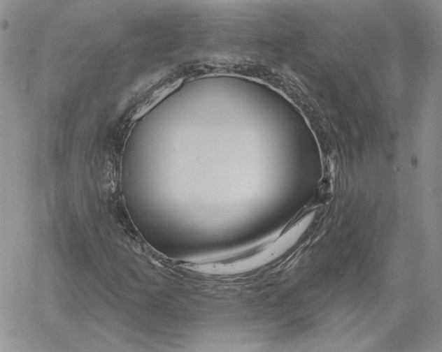 X0000060581253200511241332